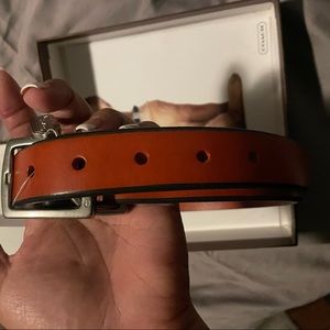 Coach Dog Collar XL